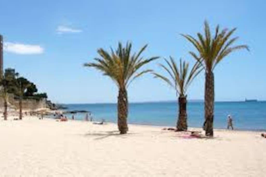 Mi Pequena Bahia Apartman Alicante Kültér fotó